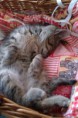 /album/alex-jerry-a-arka/imag0160-jpg/