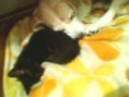 /album/alex-jerry-a-arka/sp-a0196-jpg/